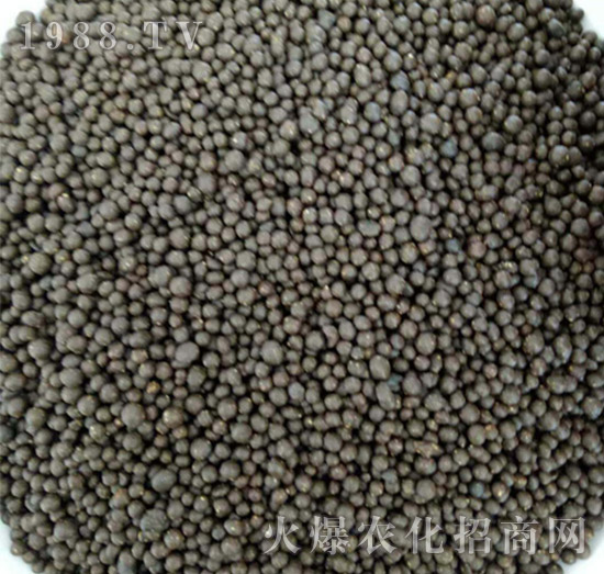 ���{�����ЙC��-ʩ���_