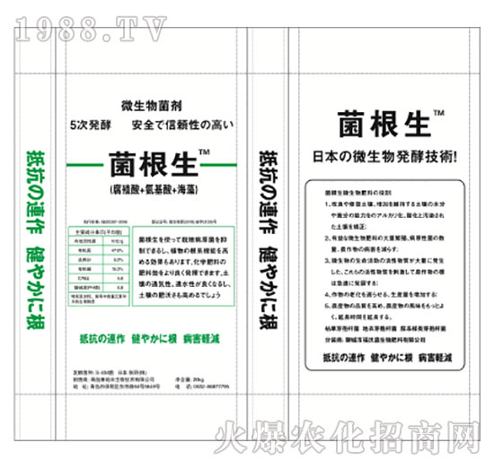 ����������-����