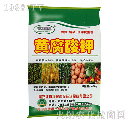 �S�����-�r���_�ʘI(y��)