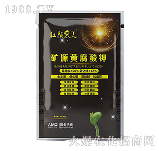 �VԴ�S�����-�t���-��ķ�_