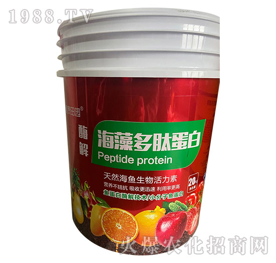 ø�⺣����ĵ���-���F��@-�����r(n��ng)�I(y��)