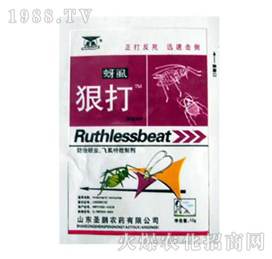 �������x�wʭ�����Ƅ�-��ʭ�ݴ�-ʥ�i