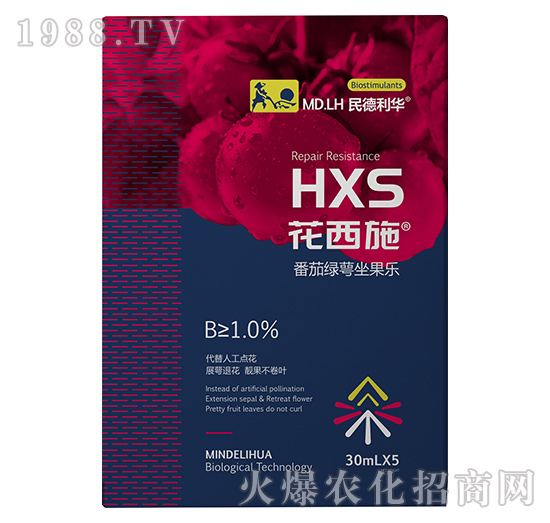 ���ѾG��������-����ʩ-������A