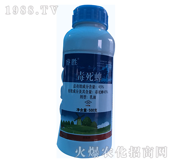 45%������-�-�\ʢ����