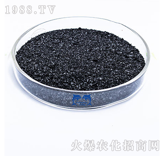 ��ֲ���-���L�`