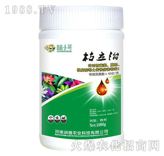 ������-��(r��n)ֲ