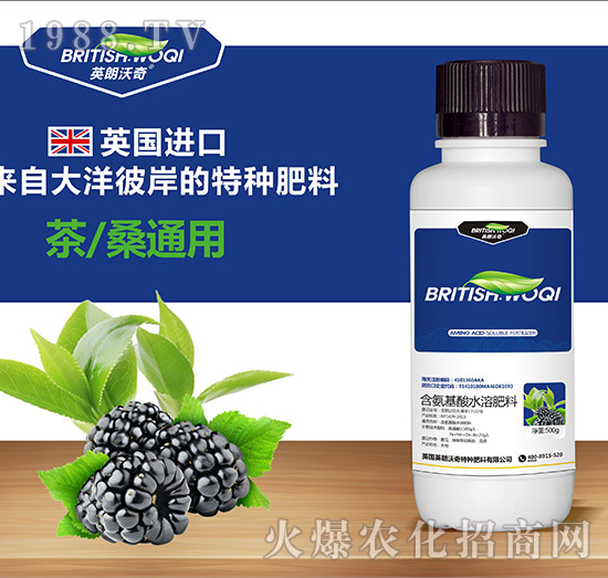 ��ɣ���ú�������ˮ�ܷ���-Ӣ������