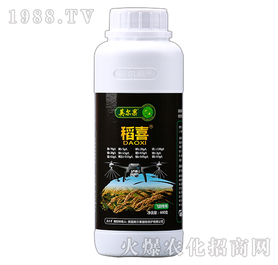 �w����(zhu��n)��-��ϲ-Ӣ����