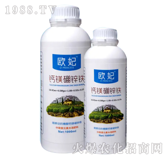 �}�V���\�F-�W��-��������