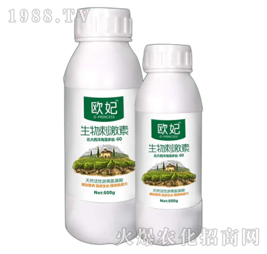 ����̼���-�W��-��������