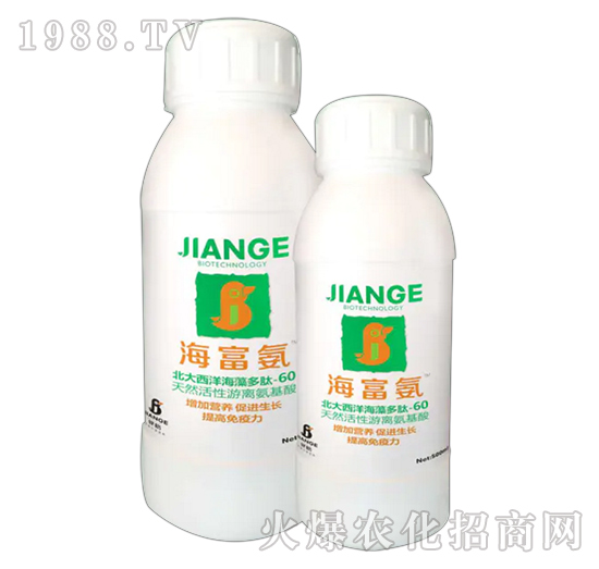 ������-��������