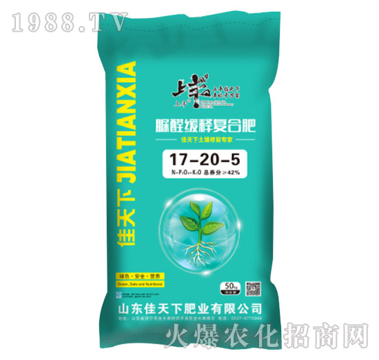 ��ȩ��ጏͺϷ���17-20-5-���S-������