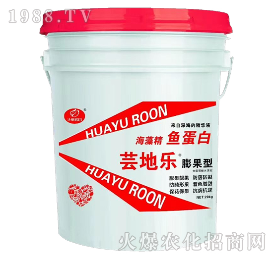 ����ͺ��徫�~(y��)����-�|�ؘ�(l��)-�Z��