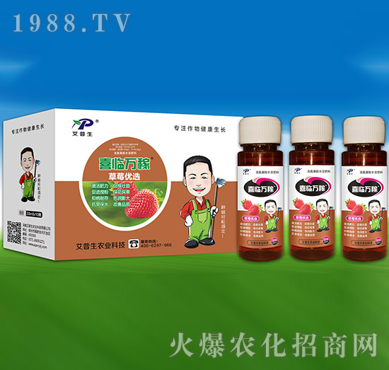 ��ݮ��(y��u)�x-ϲ�R�f��-������