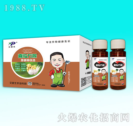 �[���⃞(y��u)�x-ϲ�R�f��-������