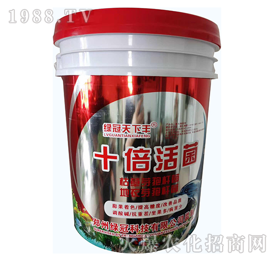 ʮ�����-�G��