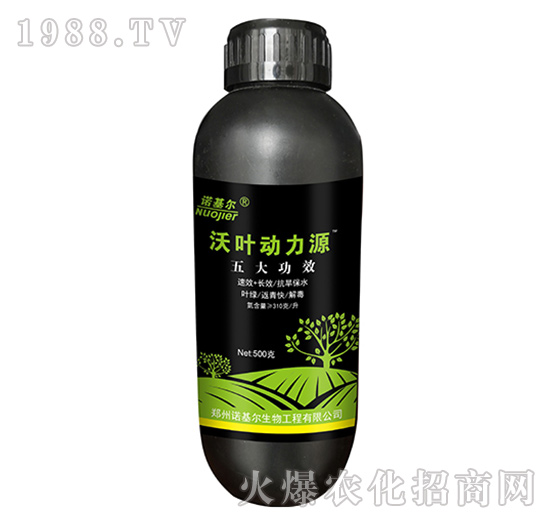 ���~����Դ-�Z����