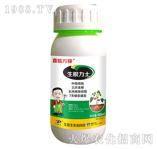 ������ʿ-ϲ�R�f��-������