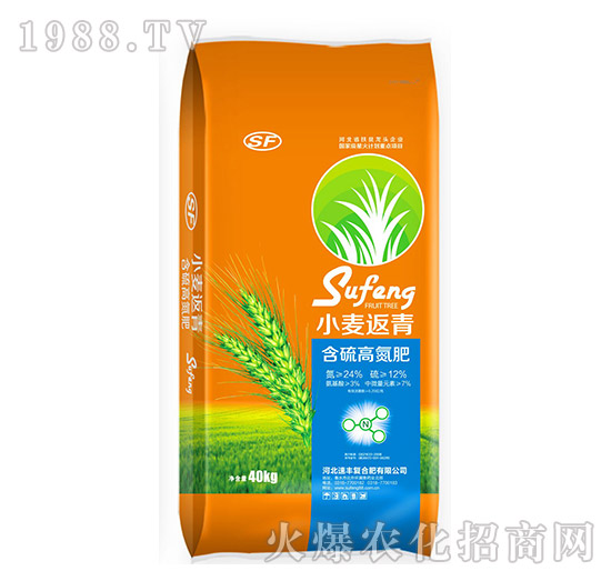 С�����ຬ��ߵ���-���S