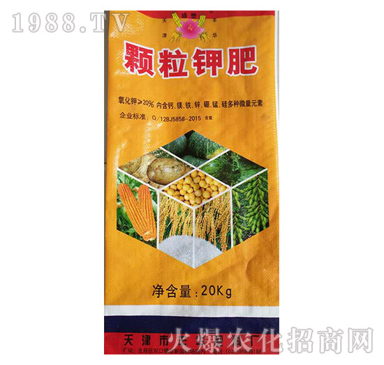 �w��⛷�-�S�A����