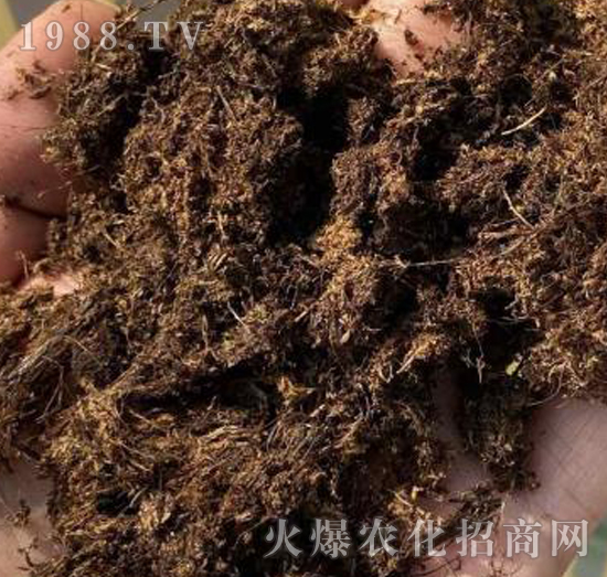 ����PINSTRUP��̿��-��(sh��)��