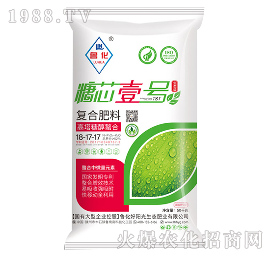 �����Ǵ����ϏͺϷ���18-17-17-����