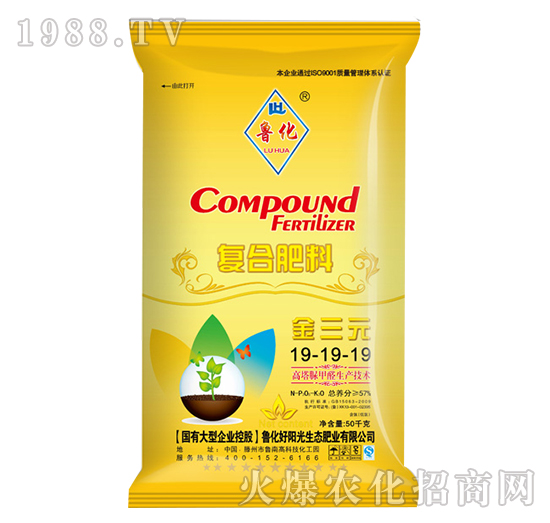 �������ȩ�ͺϷ���19-19-19-����