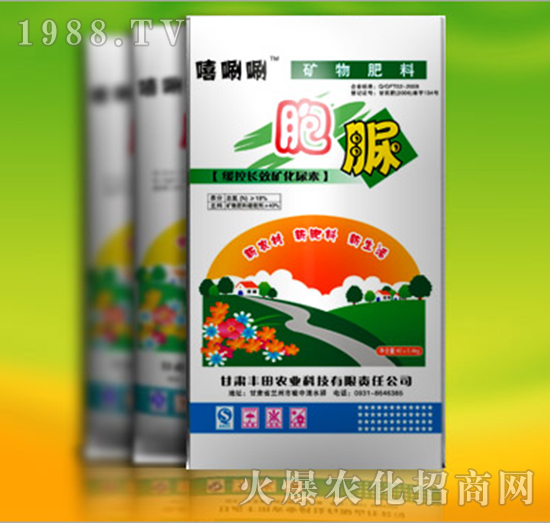 �pø����-�S���r(n��ng)�I(y��)