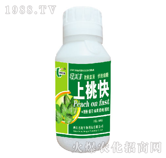 ���ҿ�-�G���S-��������