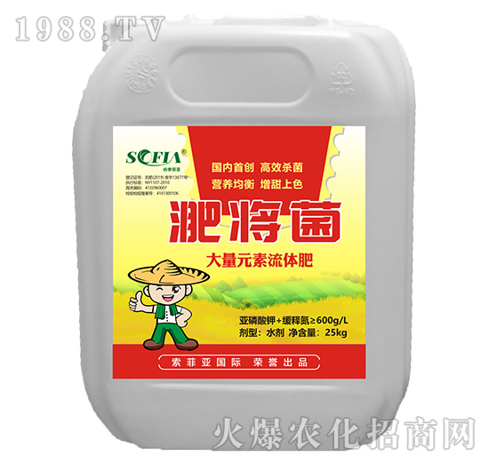 ����Ԫ�����w��-�ǌ���-���Ɓ�