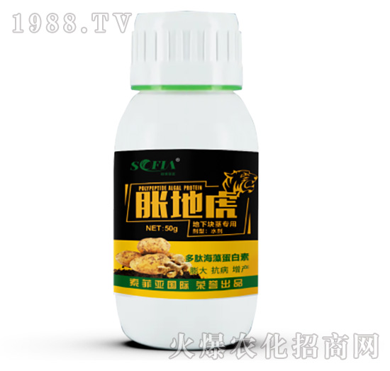 �����������-Û�ػ�-���Ɓ�