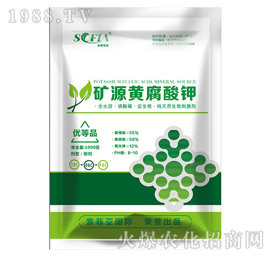 �VԴ�S�����-���Ɓ�