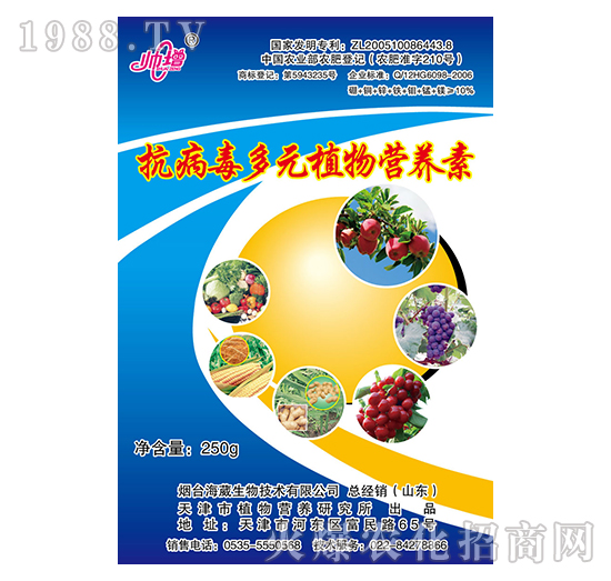 ��������Ԫֲ��I�B(y��ng)��-����-��������