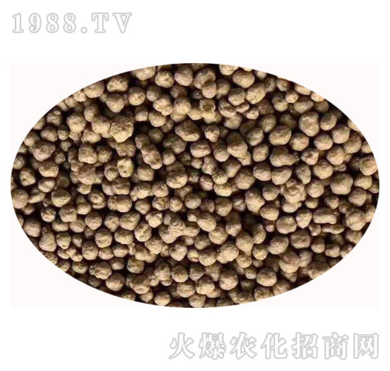 �����{(di��o)�턩-�Z�M(m��n)�}(c��ng)