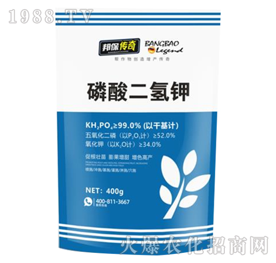 ��������-�����-��ʘI(y��)