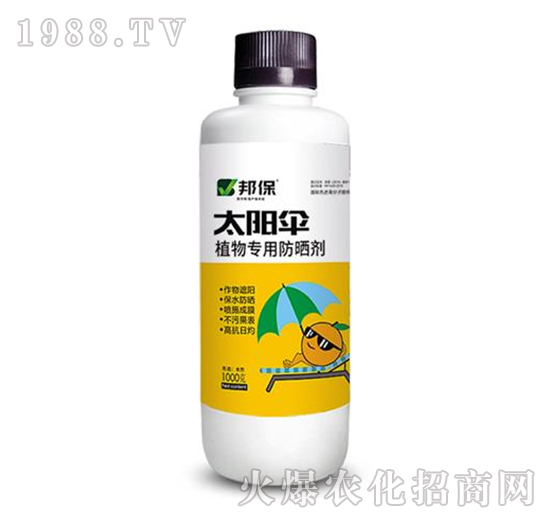 ֲ��÷���-̫�(y��ng)��-��ʘI(y��)