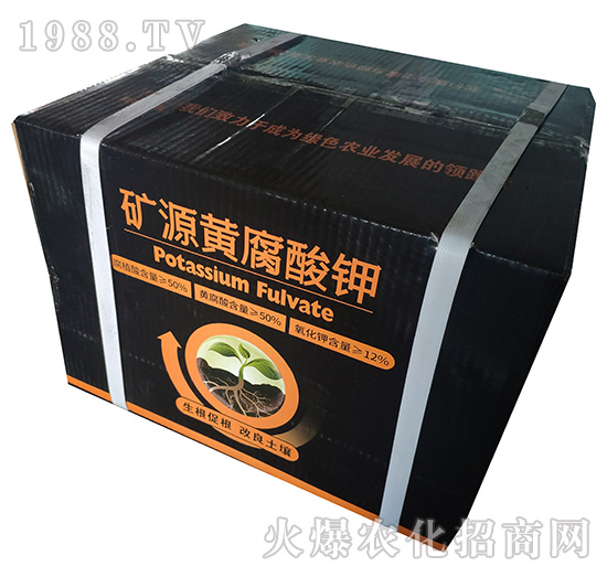 ���b�VԴ�S�����-���r����-���𻯹�