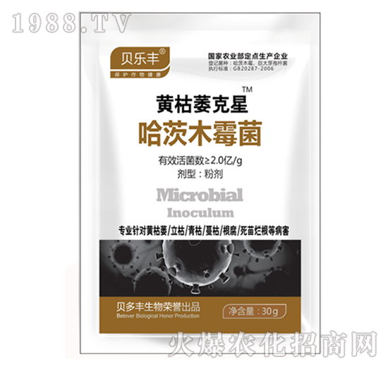 ����ľù��-�S��ή����-ؐ���S