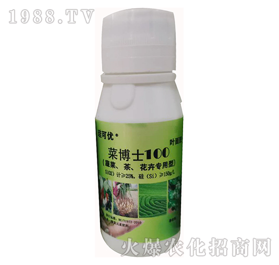 �˲�ʿ100���߲����������܌��ã�-���Ƀ�(y��u)-��Ɔ���(r��n)