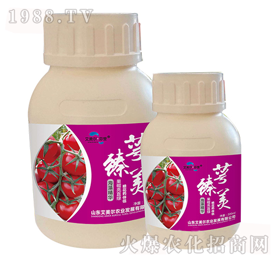 ���徫�A-������-�����������u-������