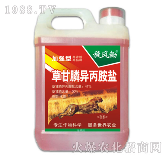 41%�ݸ�좮������}���ӏ��ͣ�-���L�z-�ݵ�˹