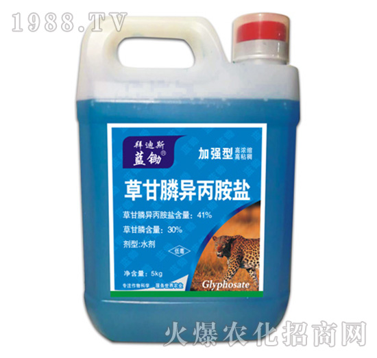 41%�ݸ�좮������}���ӏ�(qi��ng)�ͣ�-�{(l��n)�z-�ݵ�˹