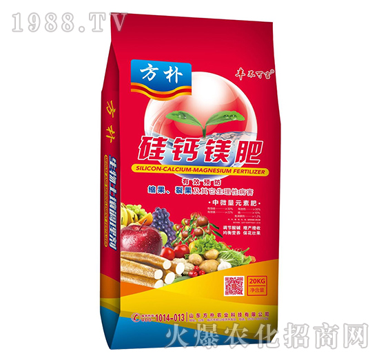 ���}�V��-����