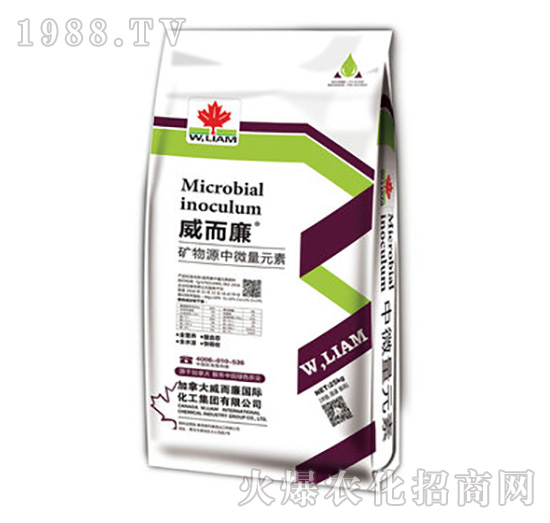 �V��Դ��΢��Ԫ��-������