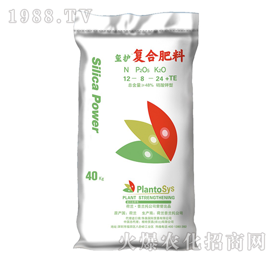 ����⛏ͺϷ���-�t�o-���؇��H