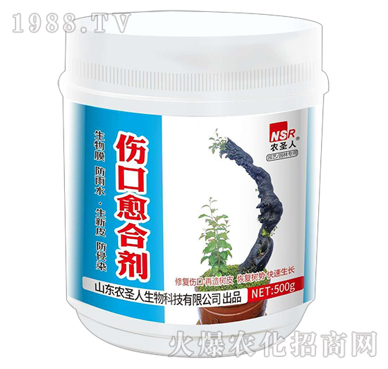 �������τ�-�r(n��ng)ʥ��