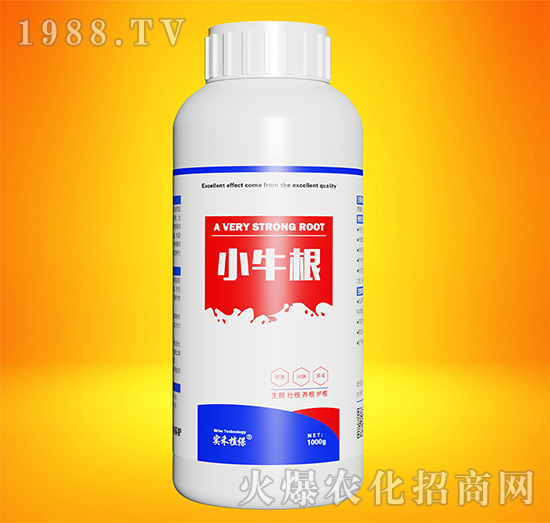 Сţ��-����