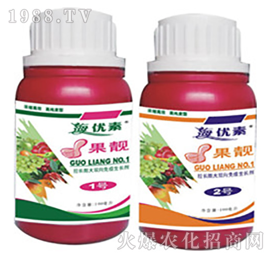 ���n-�S������