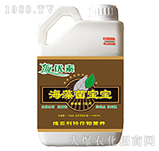 ���������-�S������