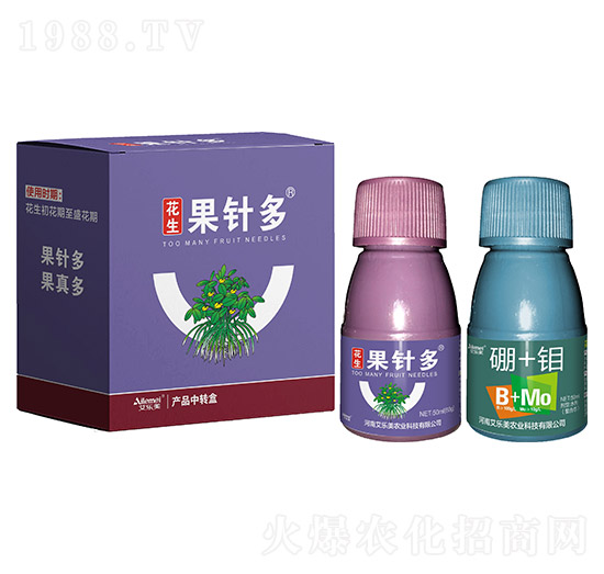 ������ᘶ�-������